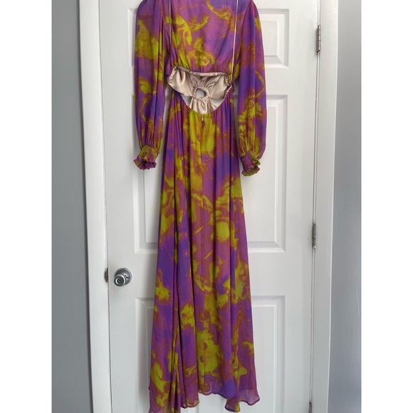 Delfi Selena Cut-Out Chiffon Maxi Dress Large - Picture 9 of 11